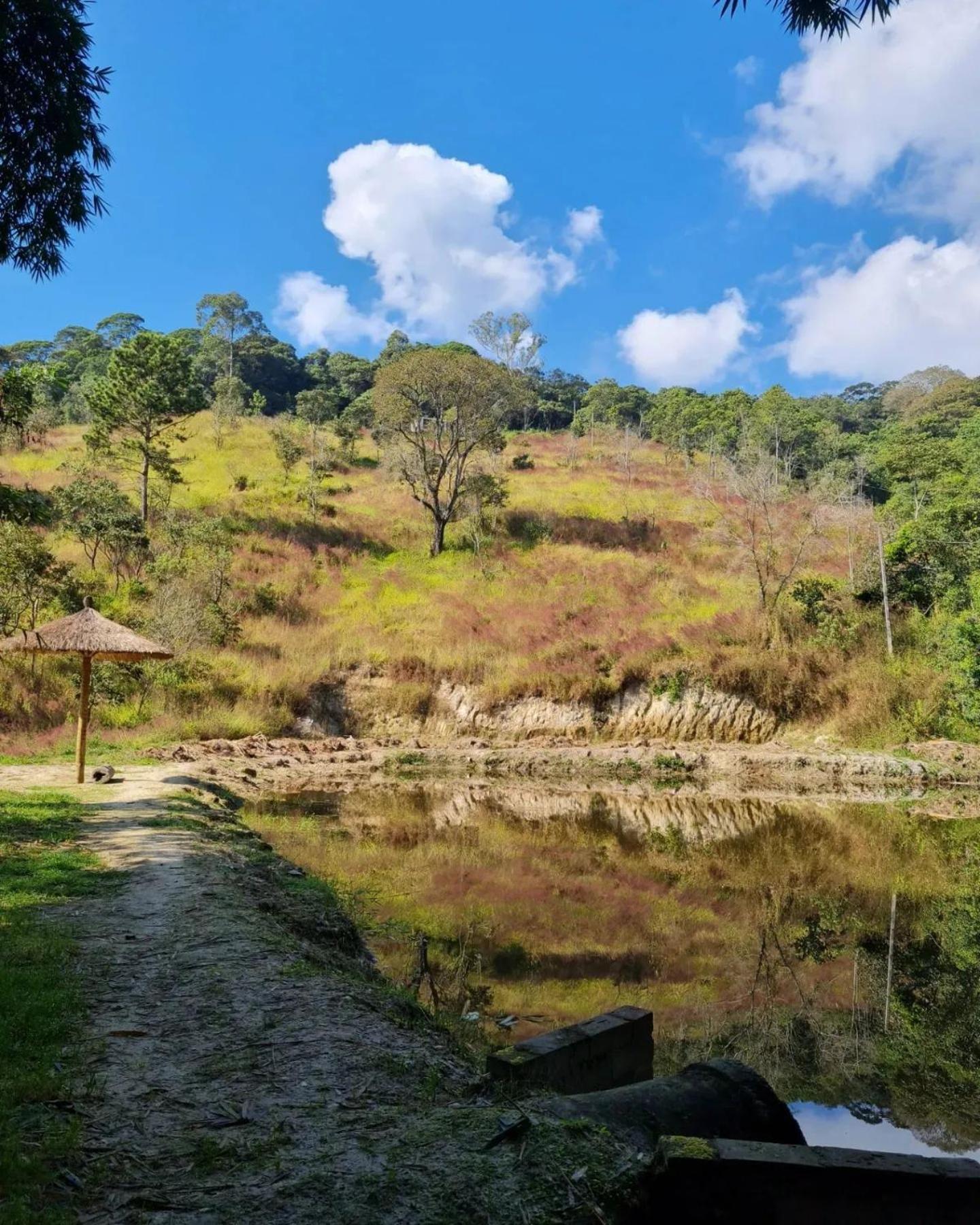 Aconchego No Campo Guest house *