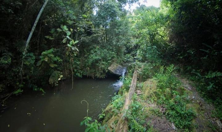 Guest house Aconchego No Campo *